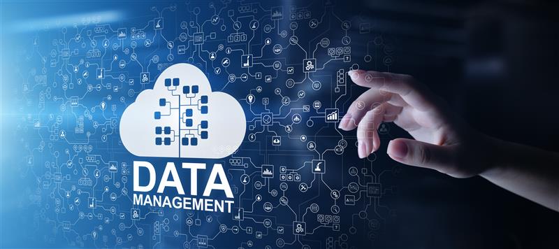 Conceptual digital cloud icon with data structure tree and "Data Management" text on a blue circuit background.
